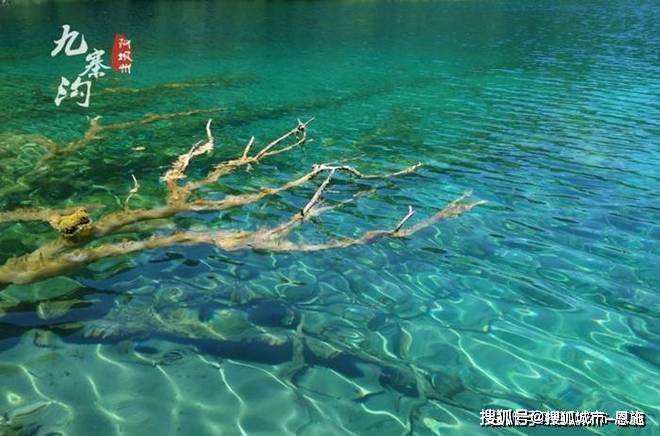 人定制纯玩路线推荐景点+路线+费用开元棋牌app六个人去四川4日游私(图2)